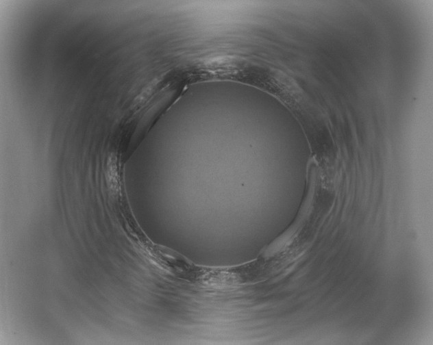 X0000067841298200604171142