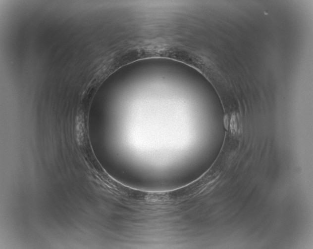 X0000067841299200604171142