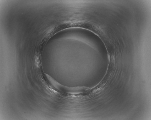 X0000067841300200604171142