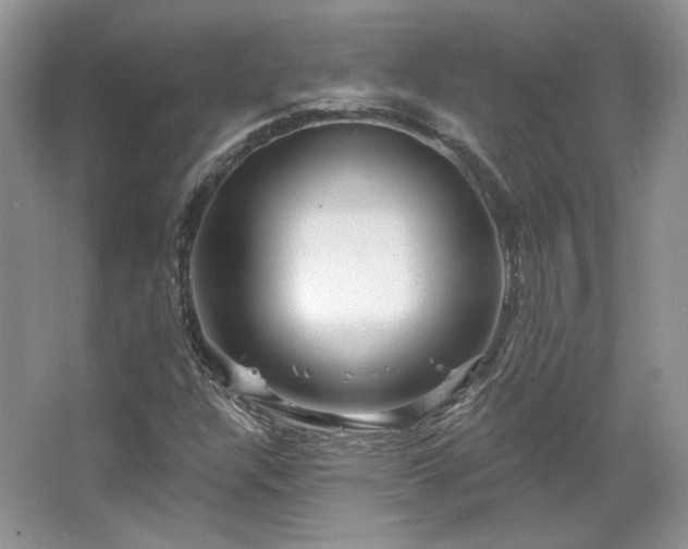X0000067841304200604171142