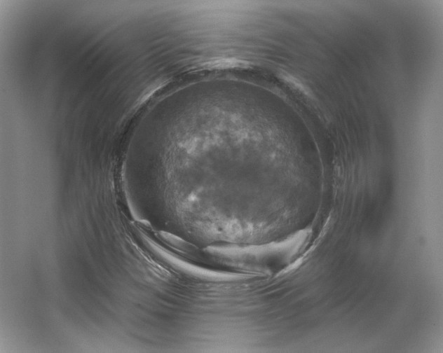 X0000067841305200604171142
