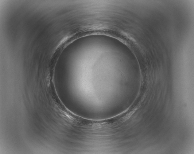 X0000067841306200604171142