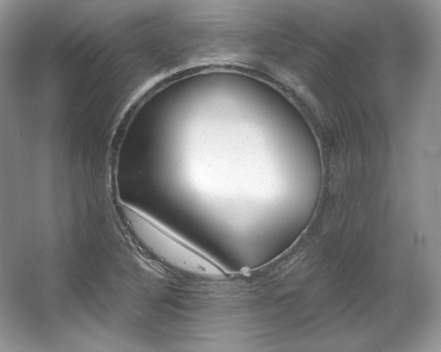 X0000067841316200604171142