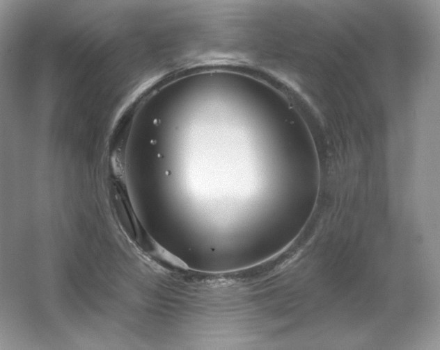 X0000067841317200604171142