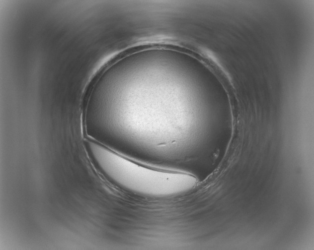 X0000067841320200604171142