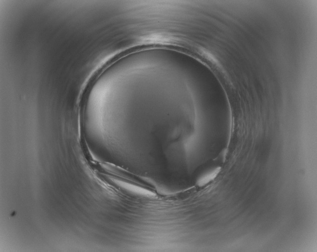 X0000067841323200604171143