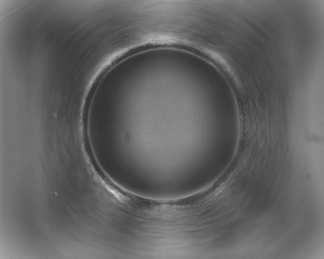 X0000067841327200604171143