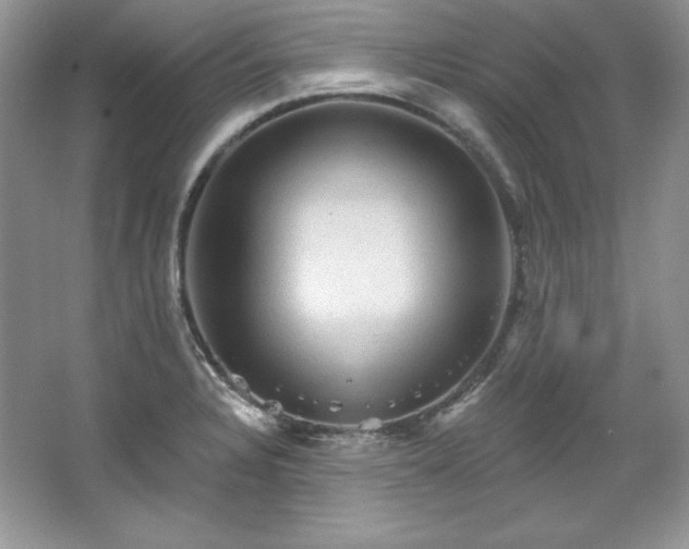 X0000067841328200604171143