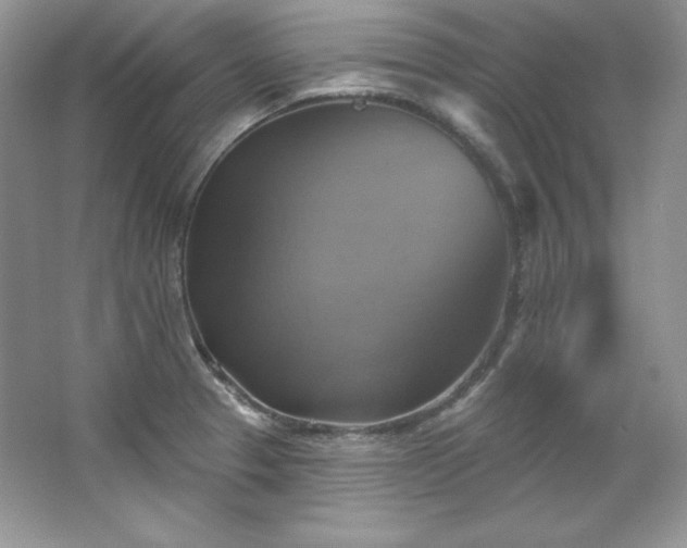 X0000067841329200604171143