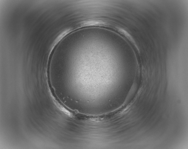 X0000067841330200604171143