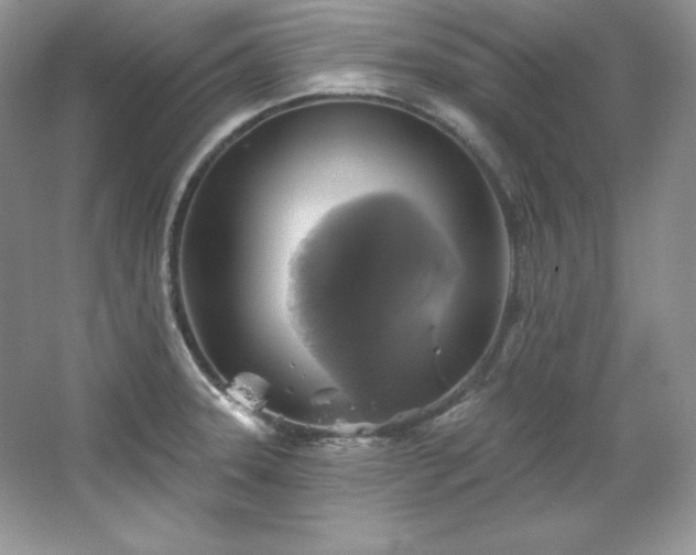 X0000067841331200604171143