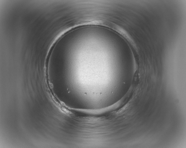 X0000067841332200604171143