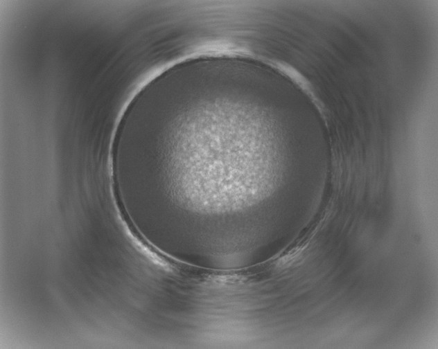 X0000067841335200604171143