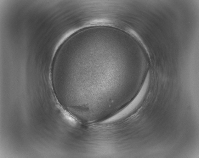 X0000067841336200604171143