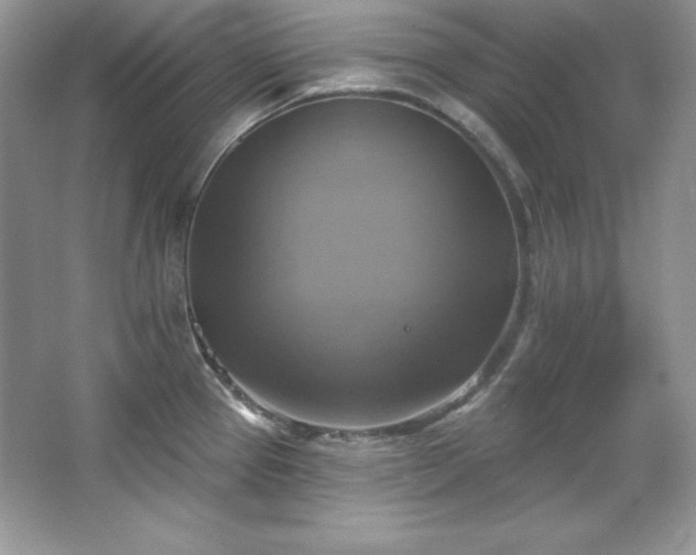 X0000067841337200604171143