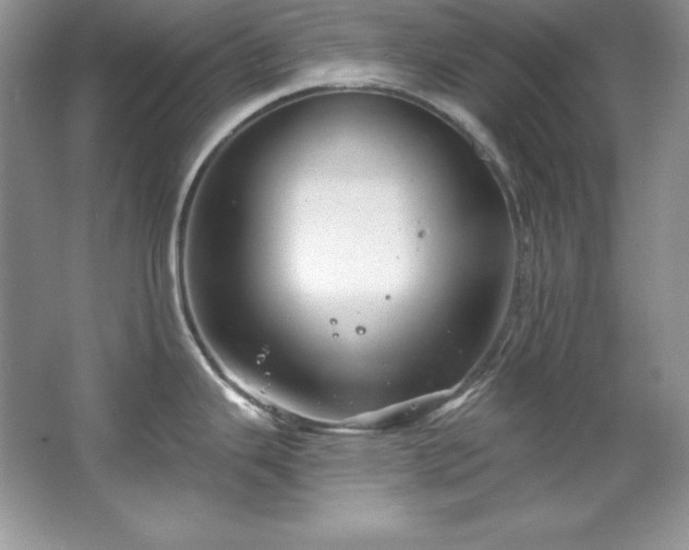 X0000067841343200604171143