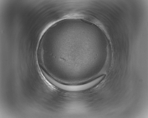 X0000067841344200604171143