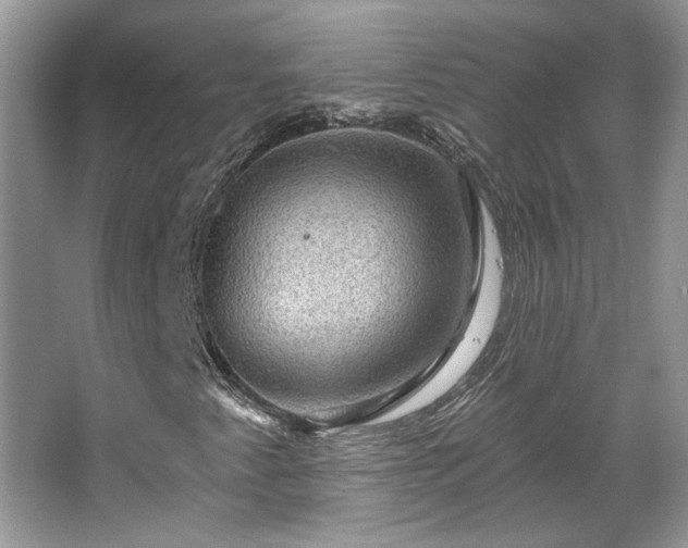 X0000067841345200604171142
