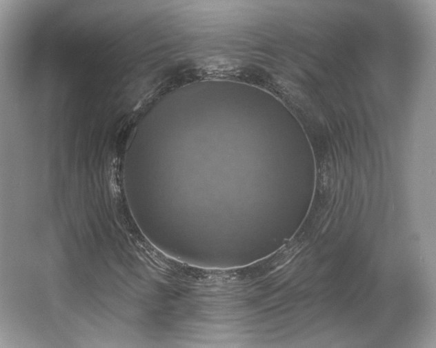 X0000067841346200604171142