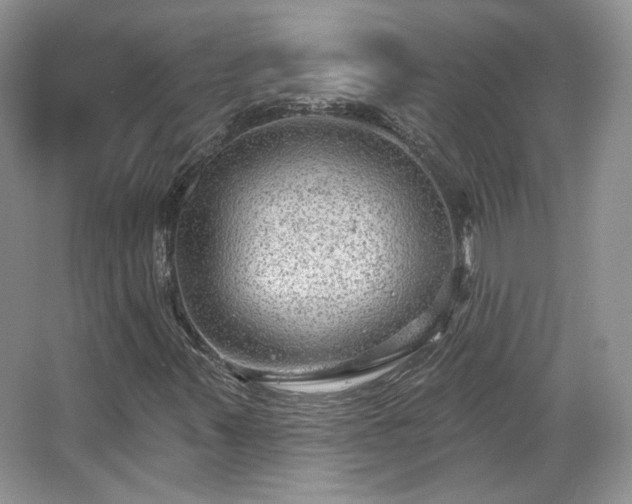 X0000067841347200604171142