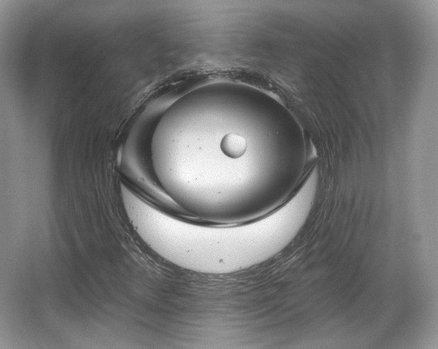 X0000067841348200604171142