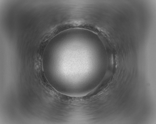 X0000067841349200604171142