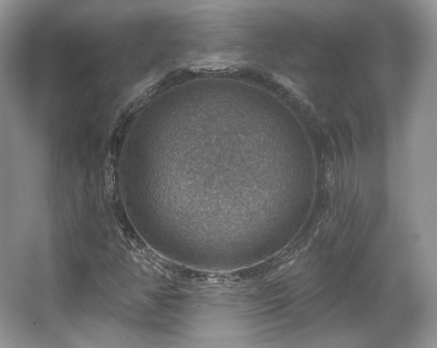 X0000067841350200604171142