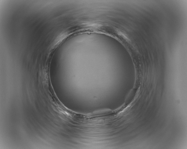 X0000067841354200604171142