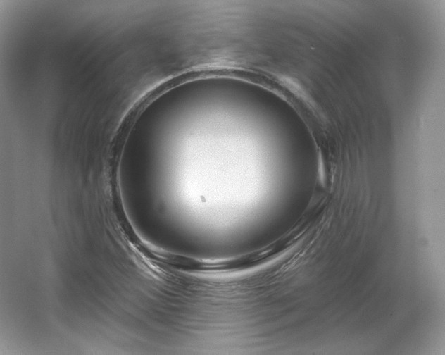 X0000067841356200604171142