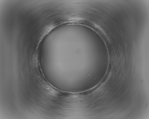 X0000067841362200604171142