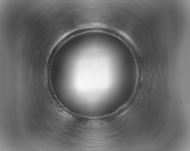 X0000067841364200604171142