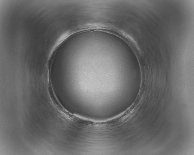 X0000067841365200604171142