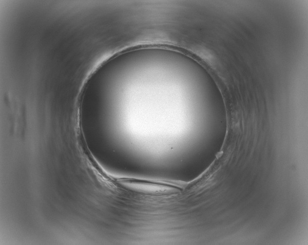X0000067841366200604171142