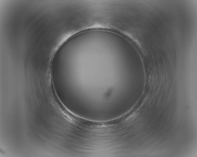 X0000067841367200604171142
