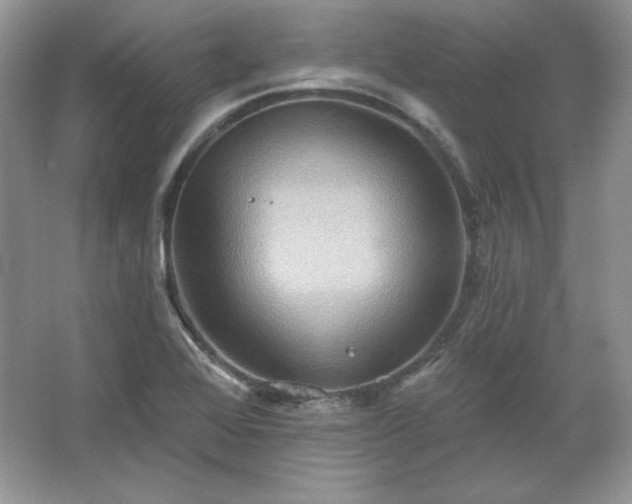 X0000067841368200604171142