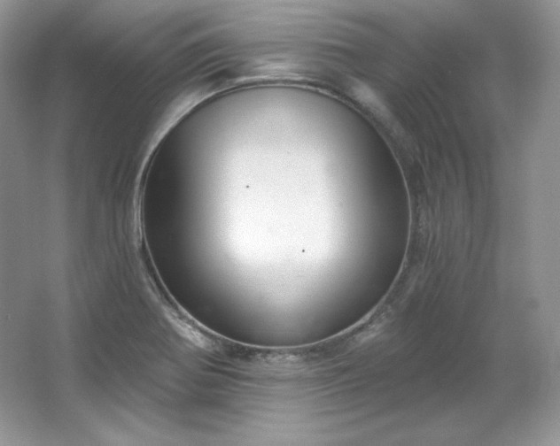 X0000067841370200604171142