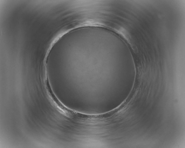 X0000067841371200604171142