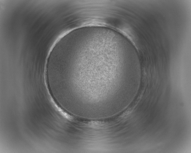 X0000067841379200604171142