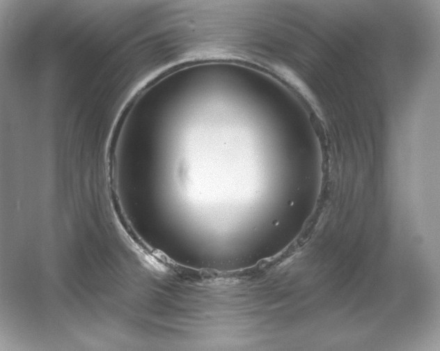 X0000067841380200604171141