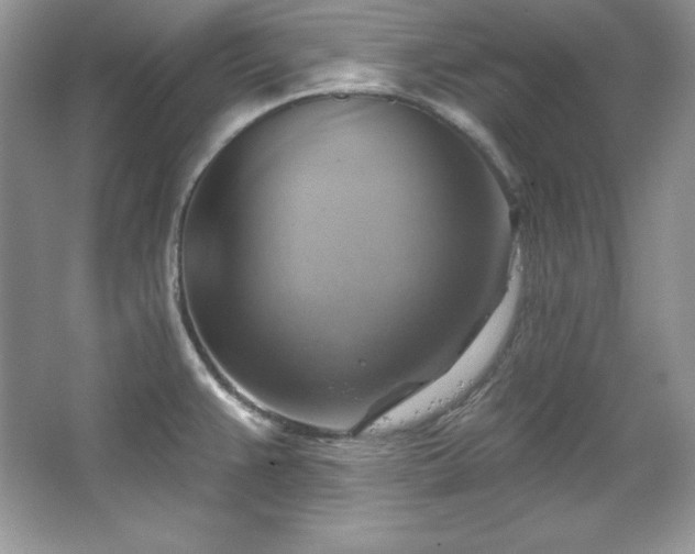 X0000067841383200604171141