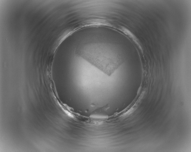 X0000067841385200604171141