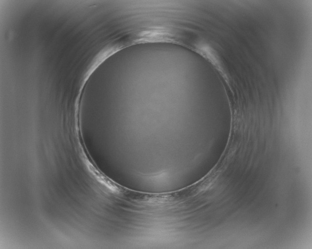 X0000067841386200604171141