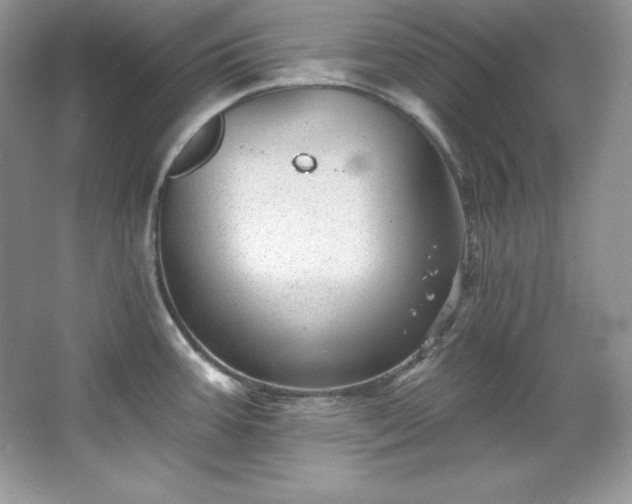 X0000067841387200604171141