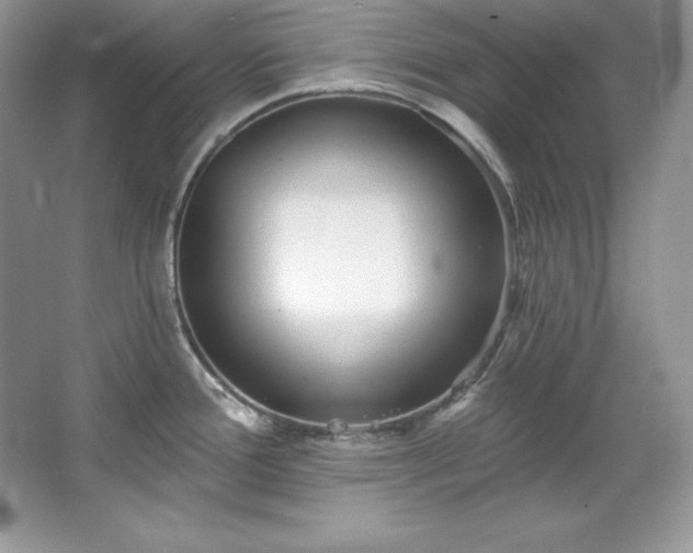 X0000067841388200604171141