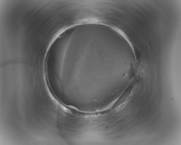 X0000067841389200604171141