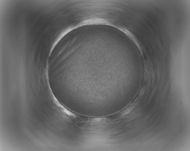 X0000067841390200604171141