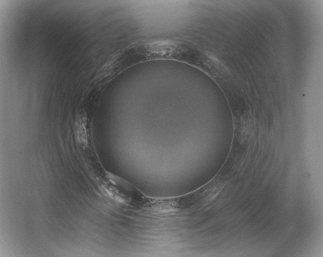 X0000067841394200604171140