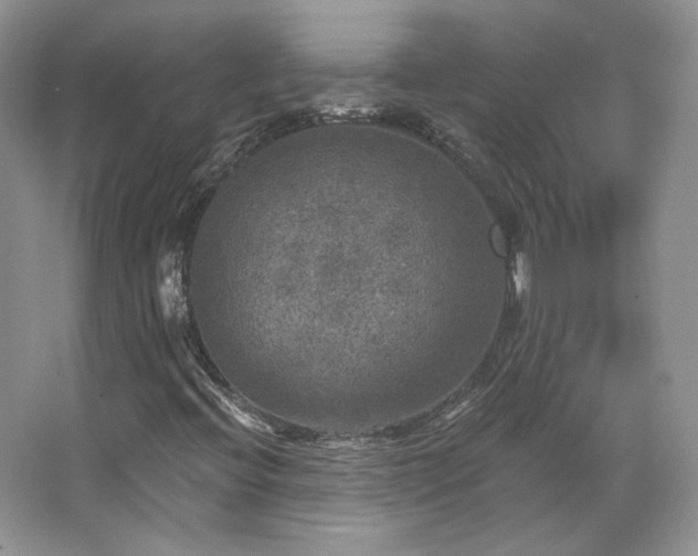 X0000067841396200604171141