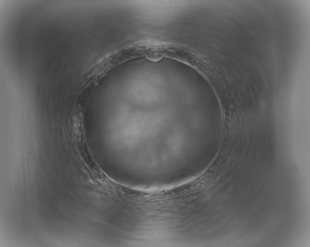 X0000067841397200604171141