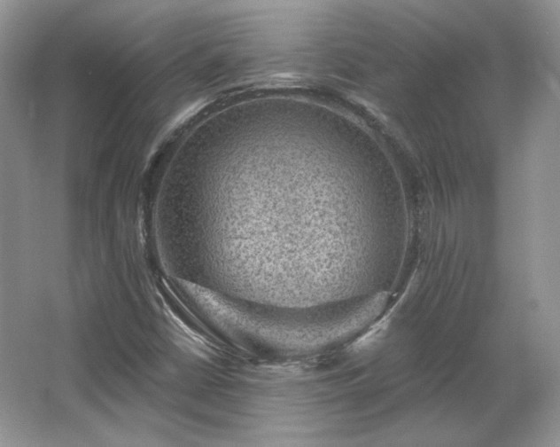 X0000067841402200604171141